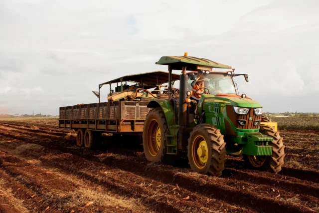 Sweet potato harvest and field prep at Holt Farming. 🍠 
Check out that red Bundaberg soil. ❤️ 

📸: Ethan, RDO Equipment

#RDOequipmentau #agriculture #ag #aussiefarmers #farming #agricultureaustralia #farmaustralia #farmlife #farmingaustralia #australianagriculture #tractor #tractorlife #tractorlove #JohnDeere #deere #johndeeregreen #johndeeretractor #deeresighting