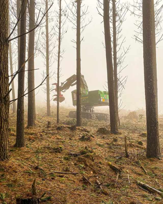 In the fog with the Kevin Morgan crew 🌲 a new 959M Tracked Feller Buncher for operator Wilber (who is delightfully stoked). Thank you team for your ongoing support! 

#RDOequipmentau #ForestryFriday #johndeere #deere #johndeereforestry #heavyequipment #heavymachinery #forestry #loggers #logging #fellerbuncher