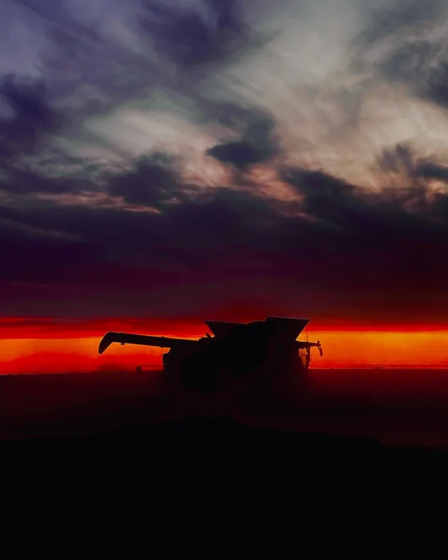 God’s work. 

📸 Blake, RDO Dalby

#RDOequipmentau #johndeere #deere #agriculture #ag #aussiefarmers #farming #farmlife #farmingaustralia #australianagriculture #johndeeregreen #johndeeretractor #deeresighting #header #harvester #combine #combineharvester