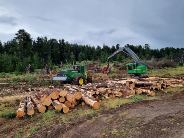 The skidder that went head to head with a competitive (bigger) machine and came out on top 👀

Congratulations to the Borg Fleet Management crew for adding a new 848L-II Skidder to their logging operations.  After a few days on demo in the bush through rain, hail, wind and freezing temps, the team put the machine through its paces and it came out on top! 

Thanks to the Borg team for your support and our Albury crew for the fantastic efforts. 👏

#RDOequipmentau #ForestryFriday #johndeere #deere #johndeereforestry #heavyequipment #heavymachinery #forestry #loggers #logging #skidder #grappleskidder