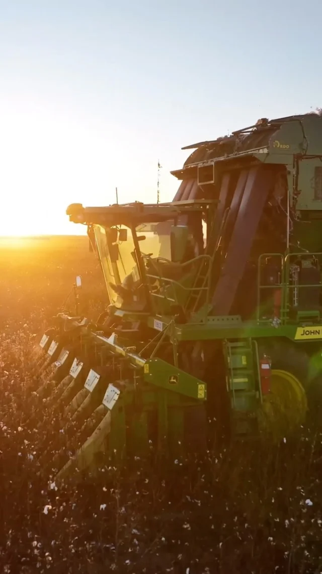 St George cotton pick ☁️

🎥 @rdoau_amity 

#RDOequipmentau #johndeere #deere #agriculture #ag #aussiefarmers #farming #farmlife #farmingaustralia #australianagriculture #johndeeregreen #deeresighting #cotton #cottonaustralia #australiancotton #australiancottongrowers