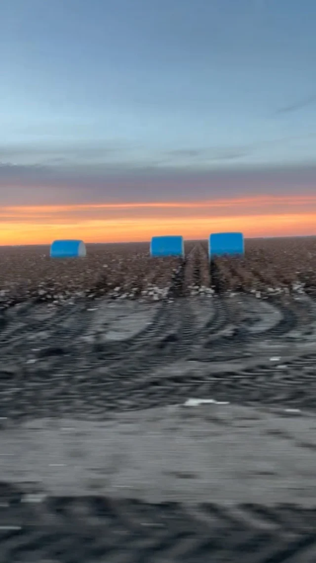 ‘Tis the season 🥹☁️ 

Our ag techs getting the best of it right now for cotton pick – this one from Lachy in RDO Moree. 

#cotton #cottonaustralia #australiancotton