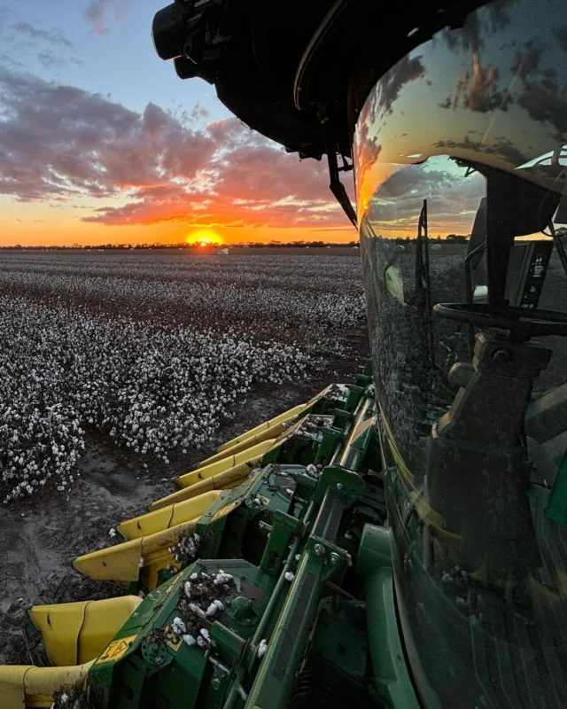 Every year our branch manager of RDO Beaudesert, Tim, heads inland to take part in cotton harvest – his happy place – helping out his wife’s family and getting his yearly “farming injection”.
 
Here’s some photos from Tim’s POV recently. What a beautiful sight cotton pick is. 🤍🌄

#RDOequipmentau