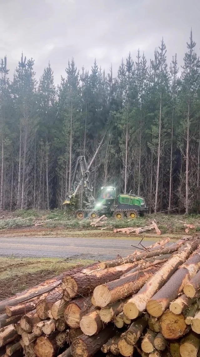 @theaussielogger team and their 1270G Wheeled Harvester. 🌲