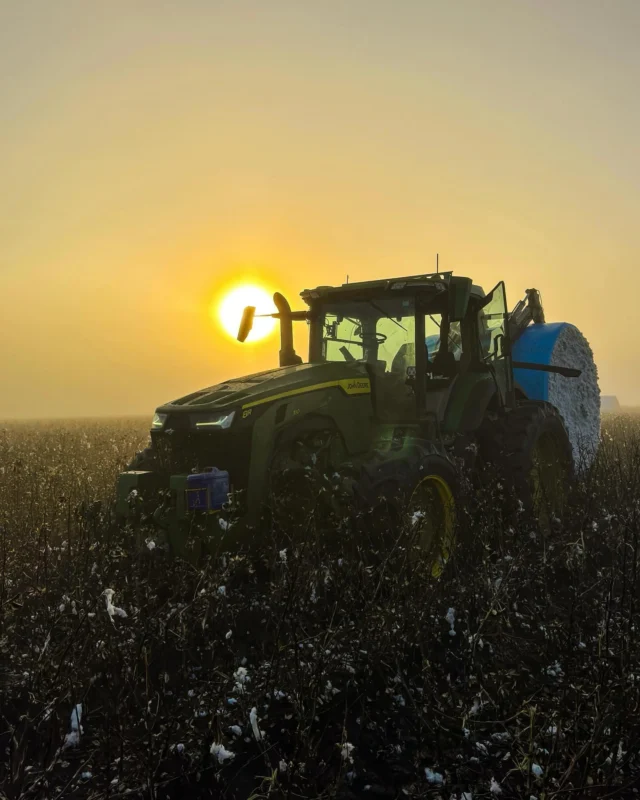 One misty morning in Moree collecting cotton modules. 🌅

📸 Darcy, RDO Roma