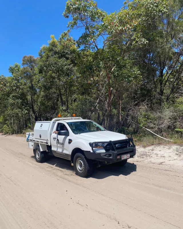 POV: you’re on holiday with the family on Moreton Island and see your RDO teammates putting in the hard yards. Not a bad gig for either of them 👀🌴