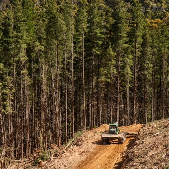 🌲Powering through the pines! John Deere 948L-II taking on Victoria's terrain.